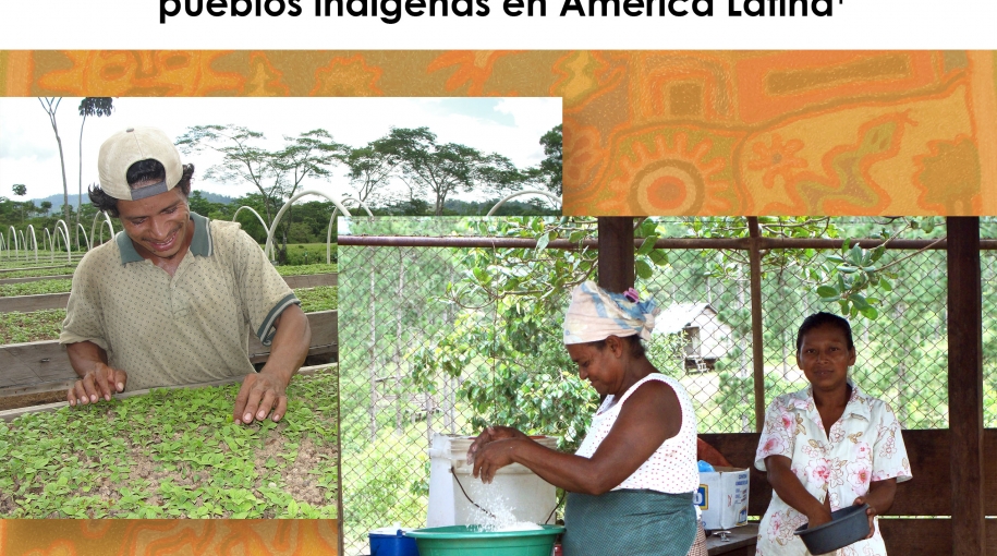 Resumen de políticas: Programa de preparación del FVC y pueblos indígenas en América Latina